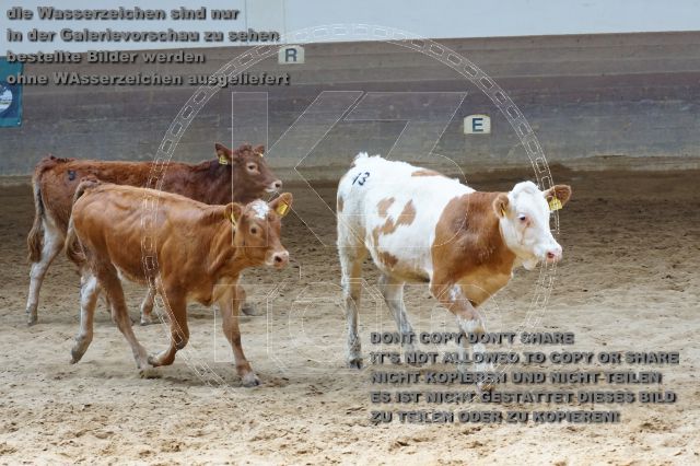 a_DSC05086.JPG